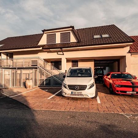 Penzion vinařství Mikulica Velké Pavlovice Exteriér fotografie